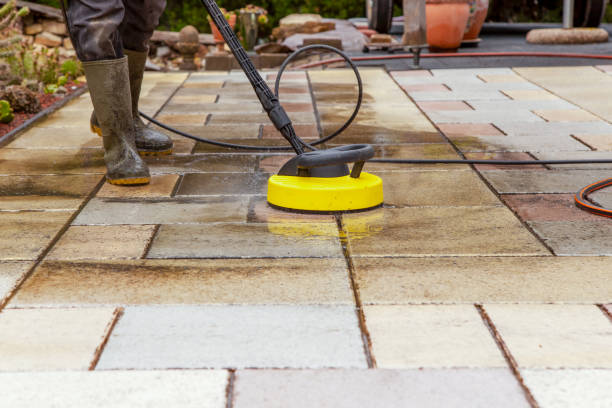 Best Roof Cleaning and Mildew Removal in St Peters, MO